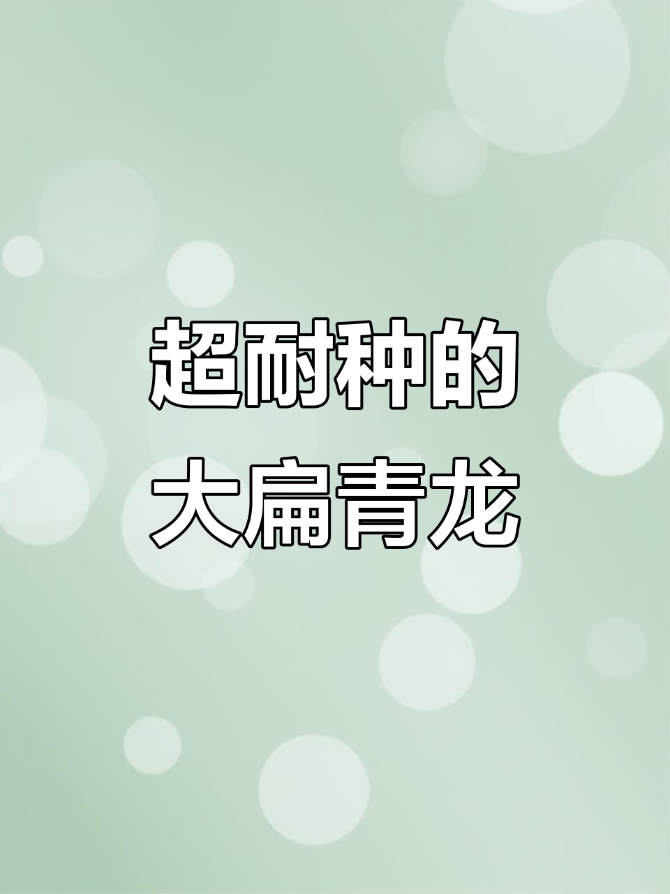 扁芸豆大丰收,脆甜美味让你停不下来!