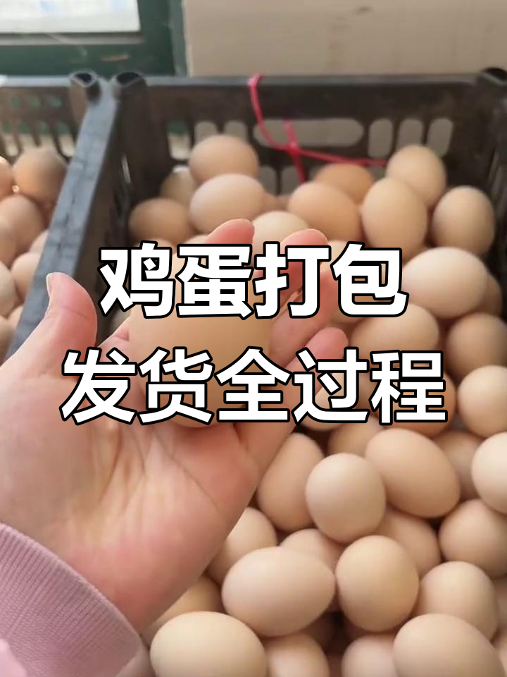 揭秘鸡蛋包装流程:从工厂到快递的奇妙旅程