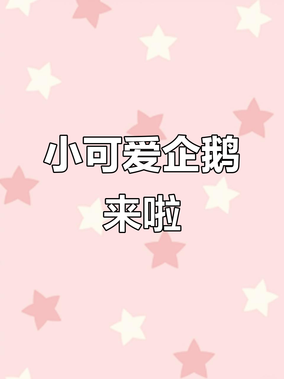 企鹅宝宝趣味英语启蒙,带你了解南极小英雄