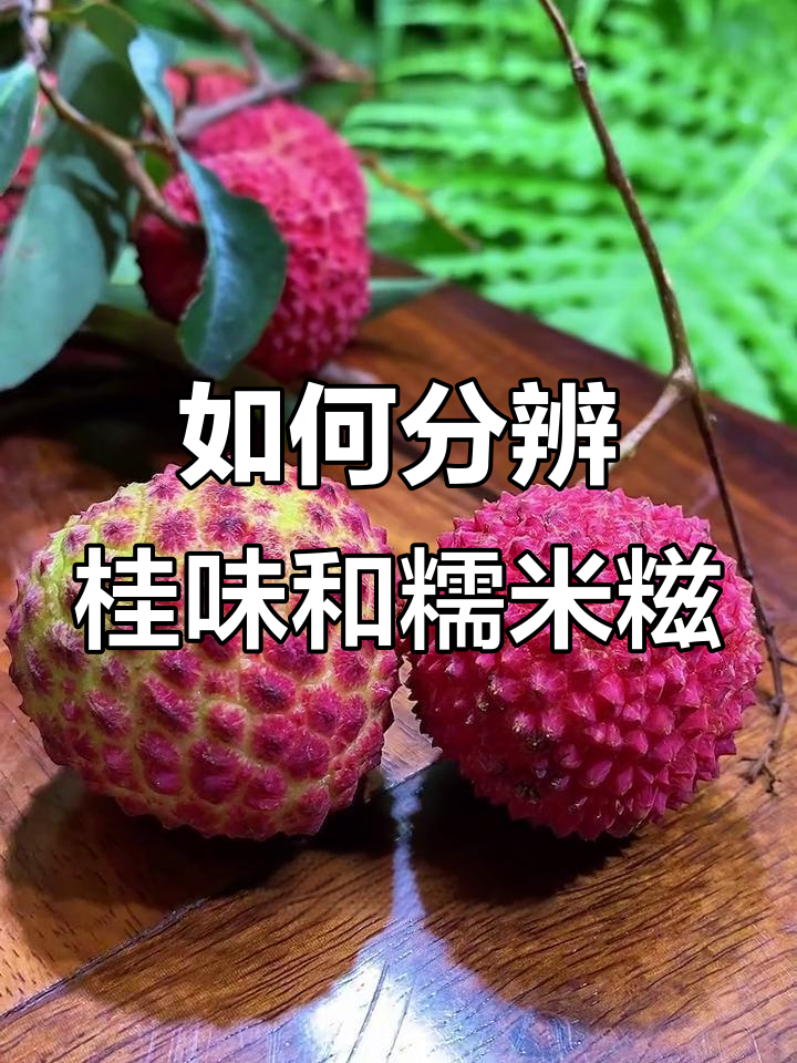 桂味与糯米糍荔枝大揭秘,如何区分它们?