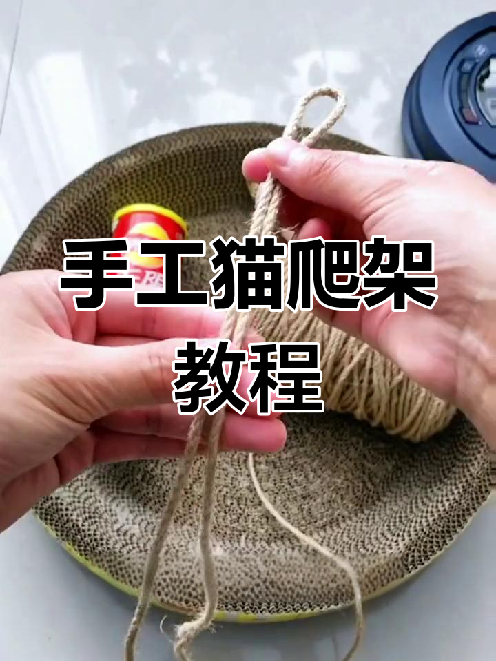 用薯片包装盒做猫爬架,简单又有趣的DIY麻绳玩具