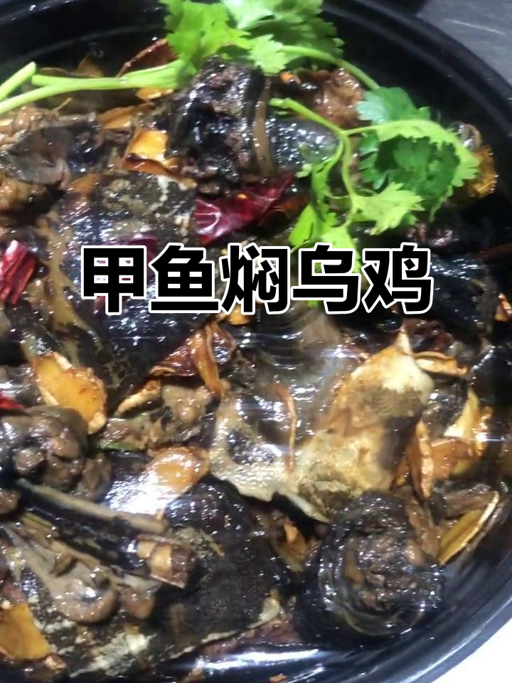 甲鱼乌鸡滋补美容,猪肚二十四味养胃健脾