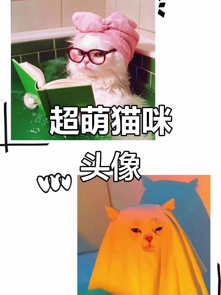 猫咪头像大赏,女生必备可爱风格