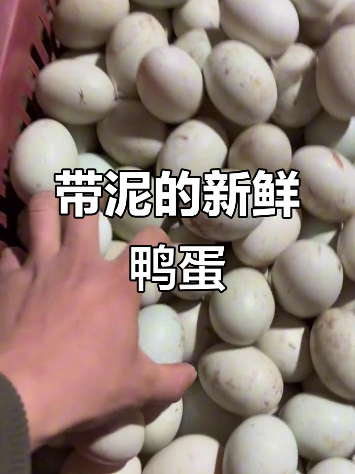 新鲜土鸭蛋,带泥土的才是正宗!