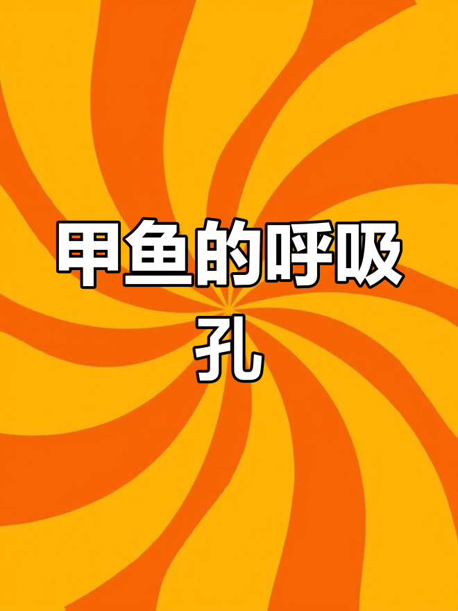 甲鱼出气孔揭秘,塘干时的小秘密