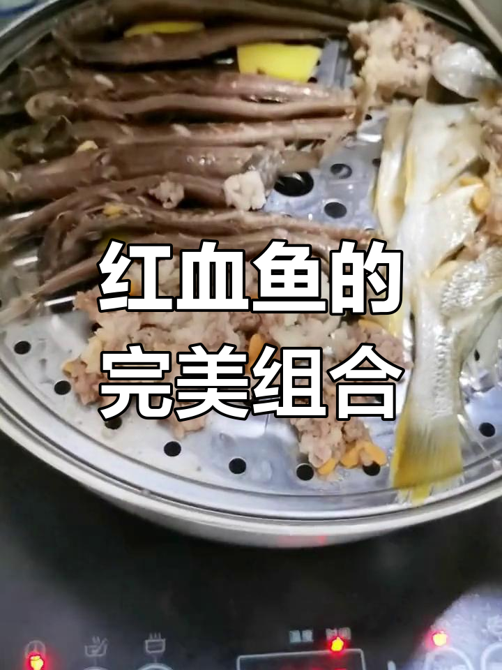 赤岭红血鱼,蒸气火锅与粥底完美搭配!