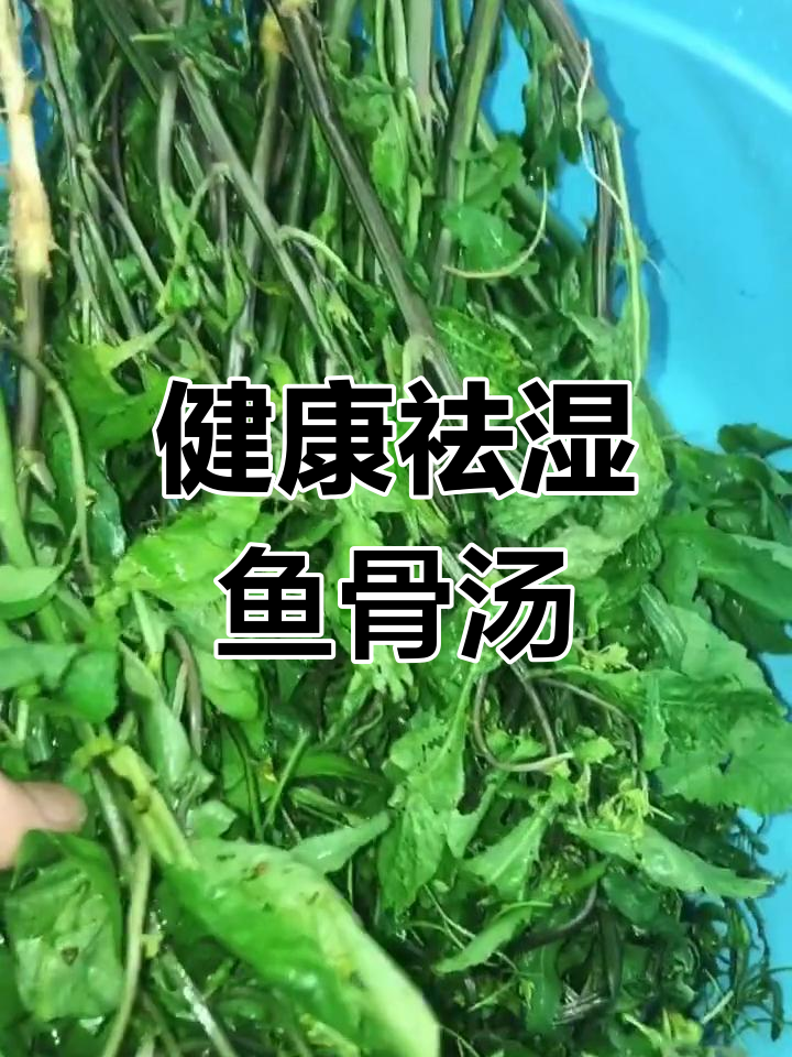 野葛菜鲮鱼骨汤,祛湿消肿的食疗佳选