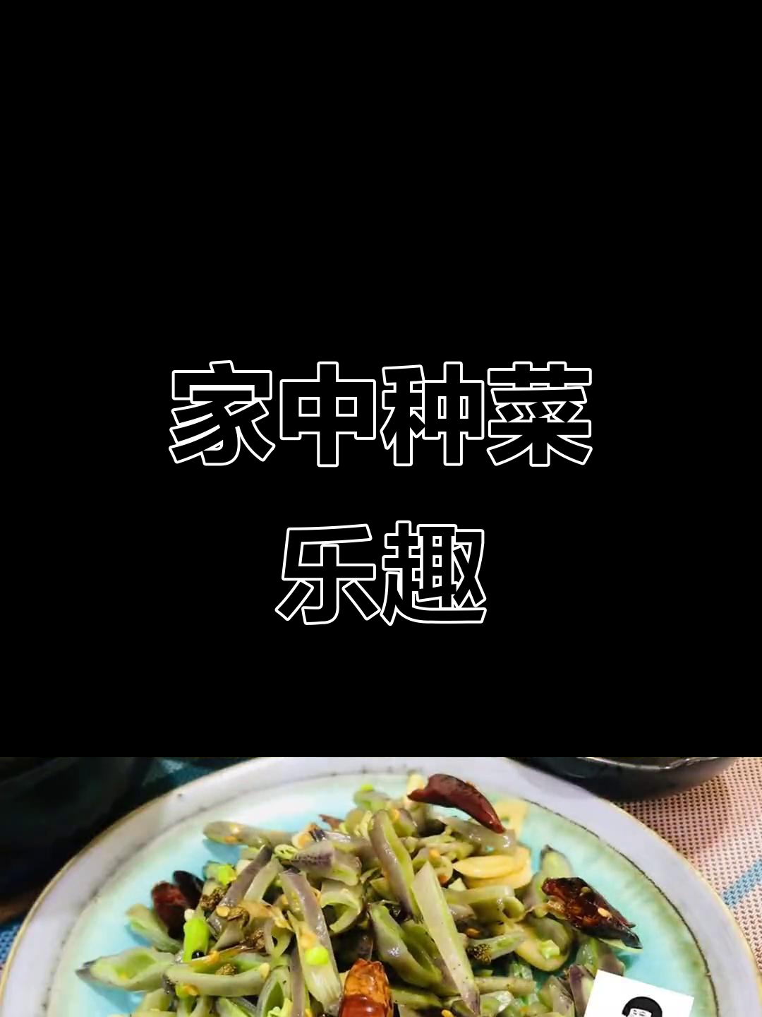 四季豆种子,阳台种植轻松收获农家风味蔬菜