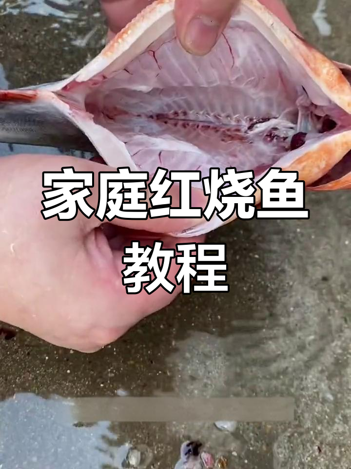 红烧武昌鱼的家常做法,外酥里嫩