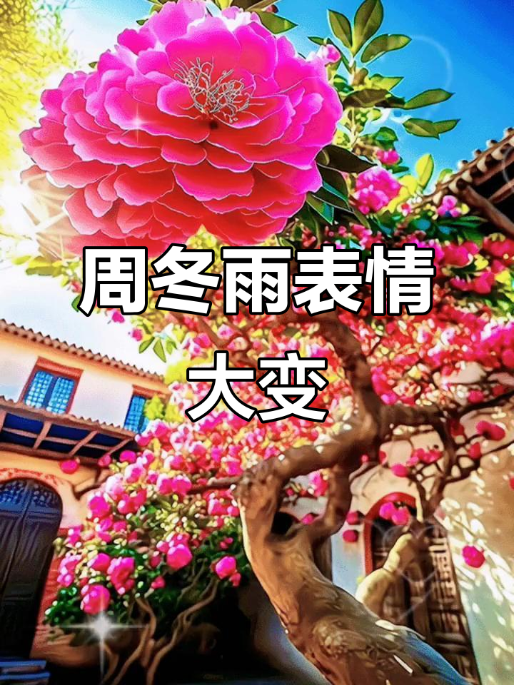 周冬雨照片左右对比,严肃与笑容的完美切换