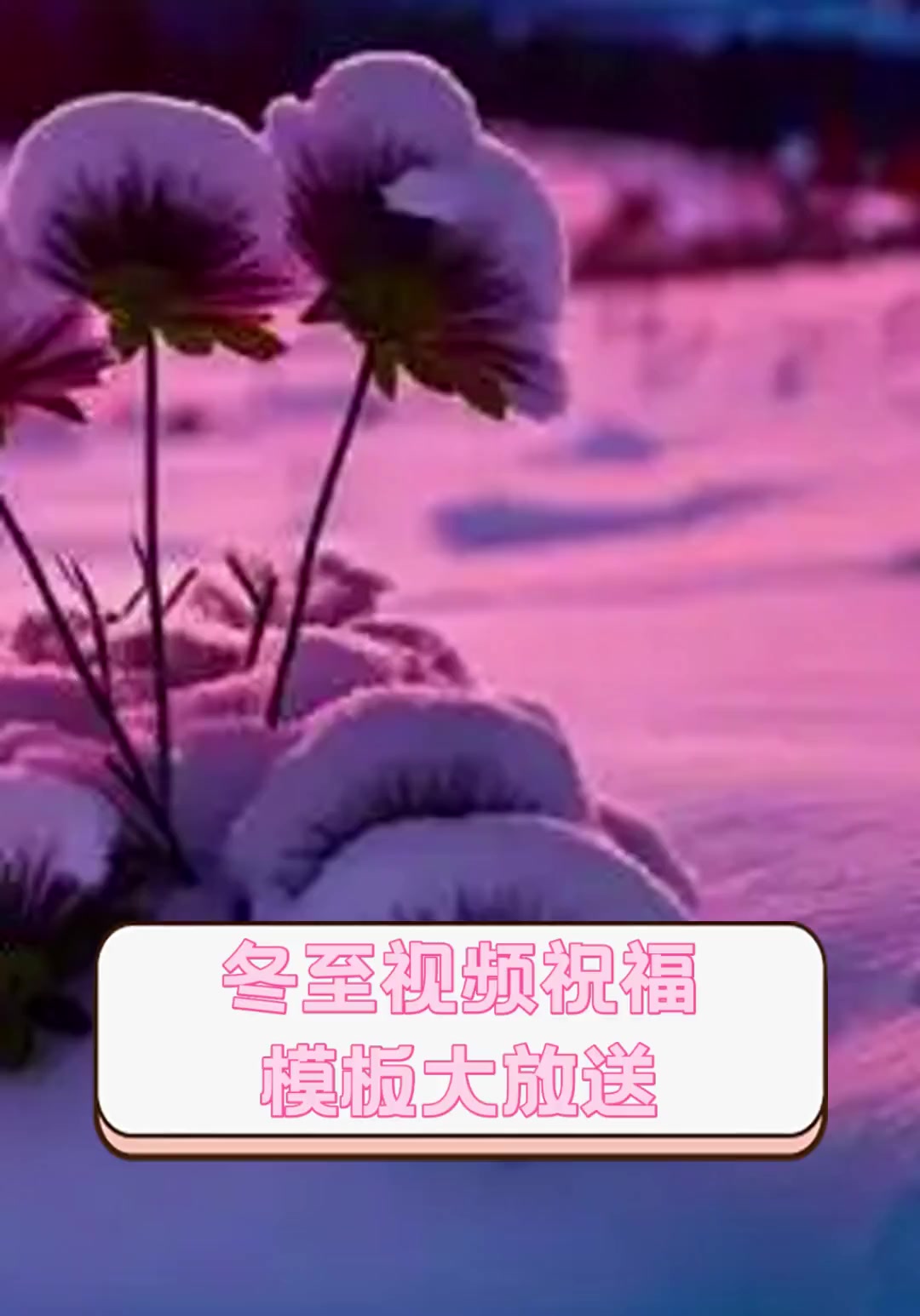 冬至视频祝福,模板大放送