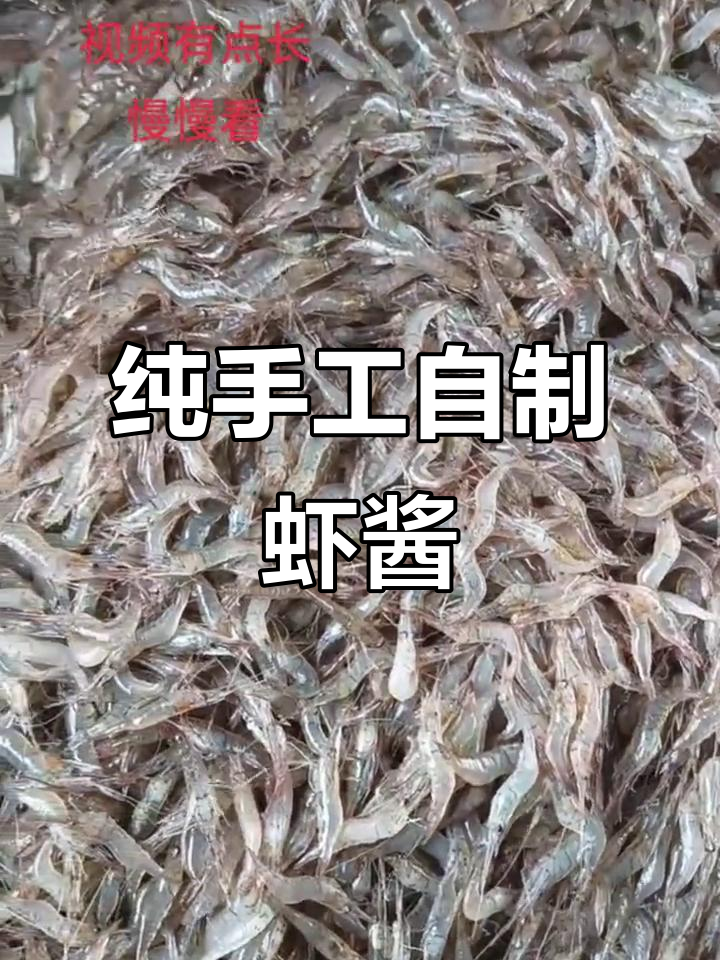 自制虾酱,零添加纯手工制作,炒菜必备!