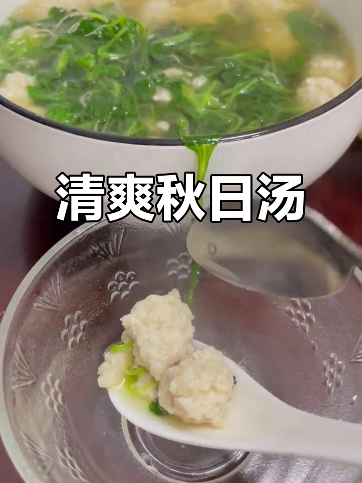 秋季清爽汤品，肉丸不腻，毛菜提味，值得一试！