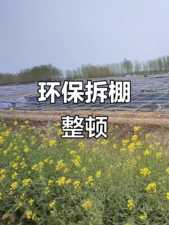 南美对虾养殖大棚因环保问题被拆除,待整改后重建