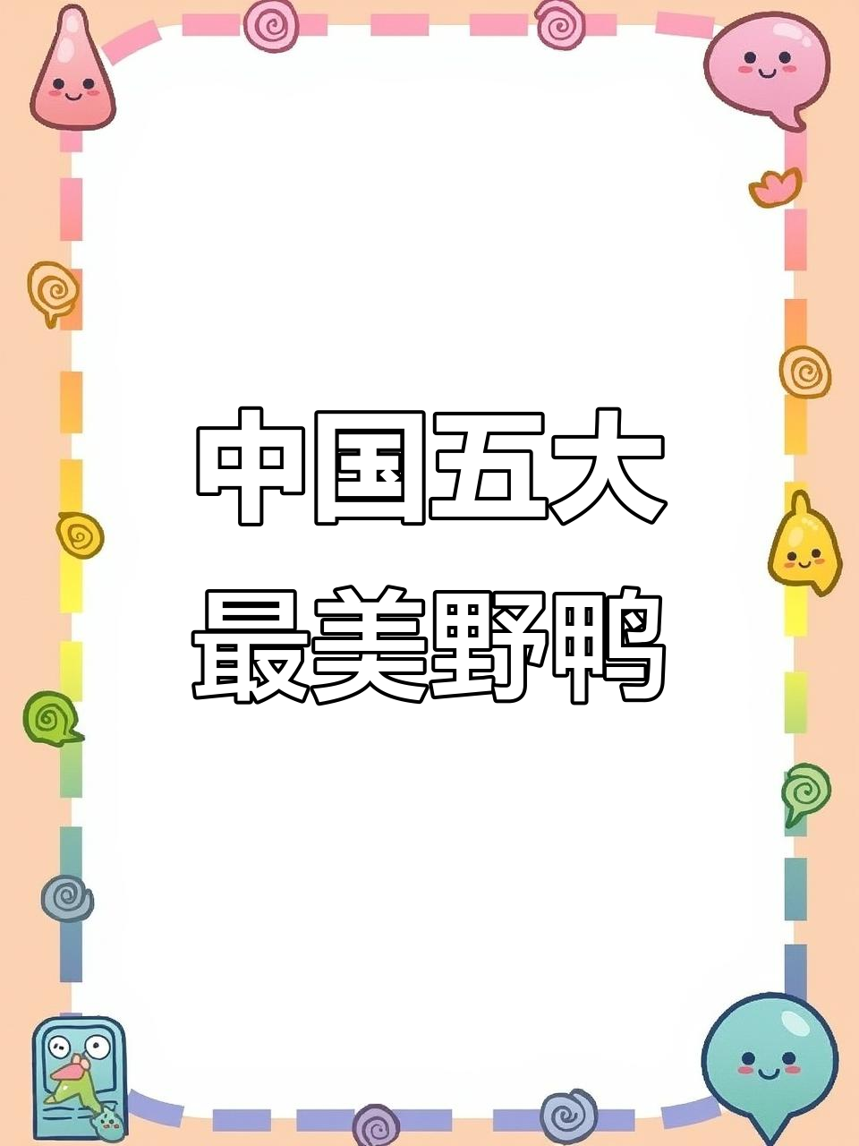 探秘中国五大顶级野鸭,轻盈飞行与美丽身姿