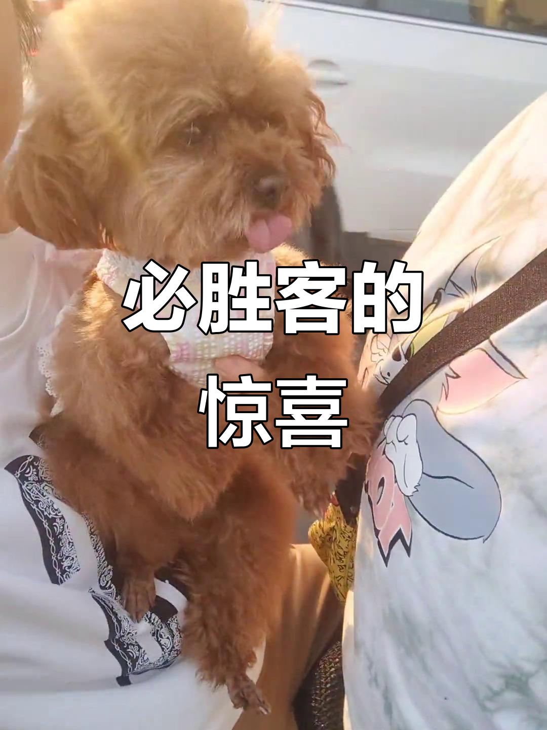 小哥哥带我们去必胜客,豆妹吃烤鸭披萨,我尝榴莲味