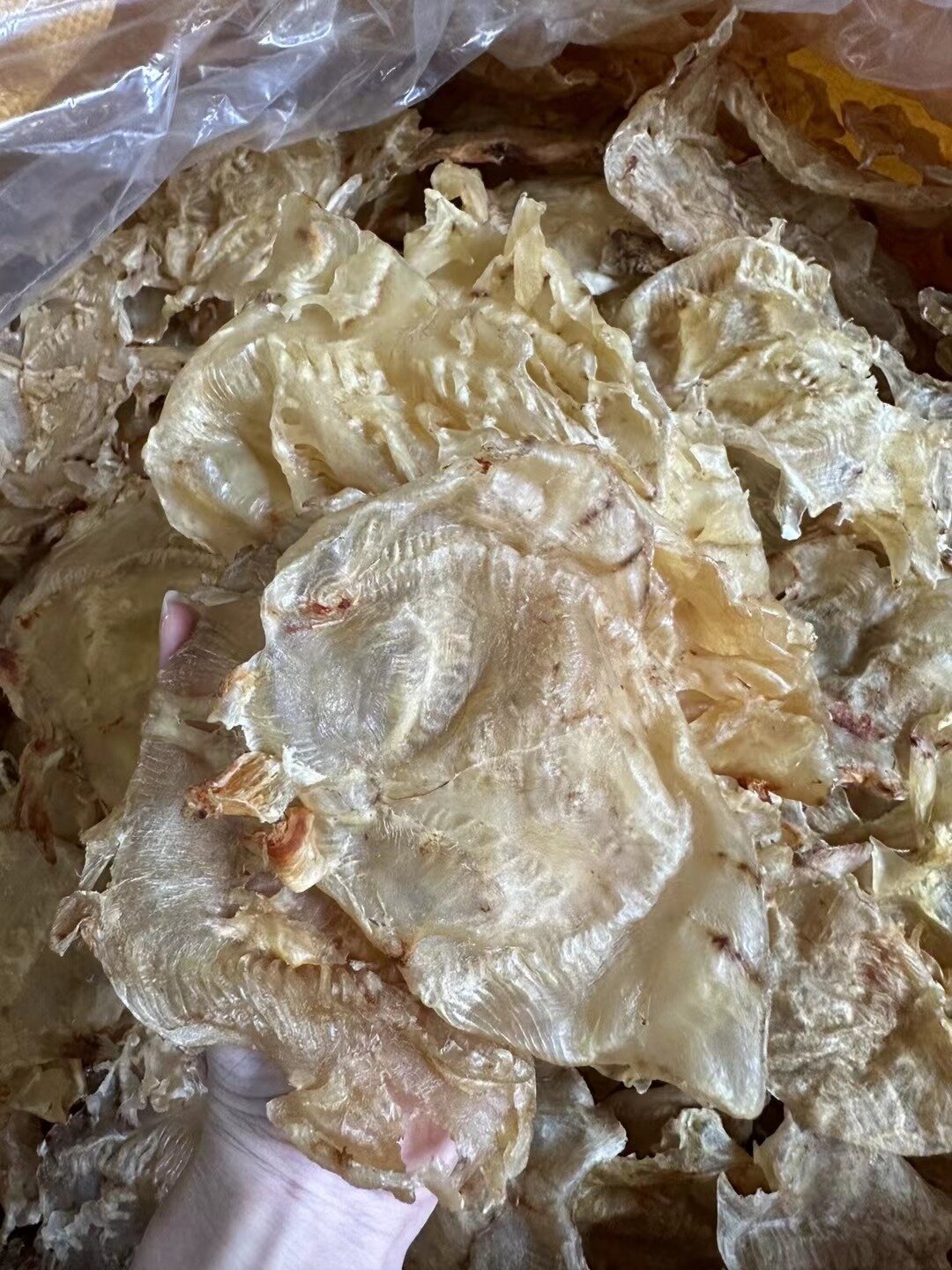 成鱼胶(赤鱼胶),入门级鱼胶