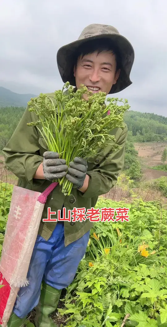 上山采老蕨菜给老妈吃,不求有钱,只为让老妈开心