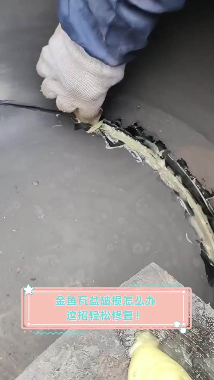 金鱼瓦盆破损怎么办,这招轻松修复!