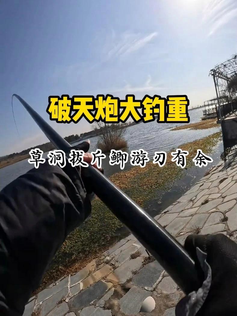 钓鱼王破天炮,斤鲫直飞,东丽40T+46T碳布打造,多规格选择,首发加上年终大促,现在入手