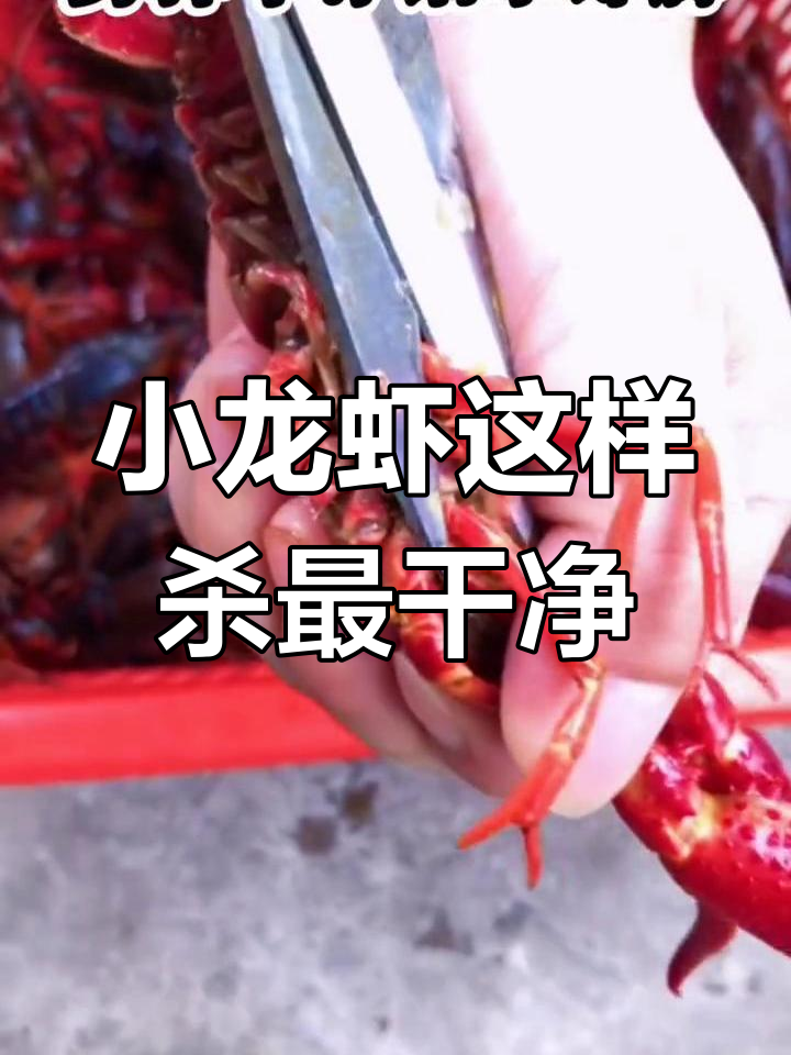 教你轻松杀小龙虾,快速去头、抽线又美味