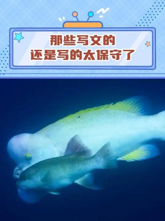 我再也不说小说写的离谱了 #隆头鱼 #公鸡 #猎奇 #小说 #震惊
