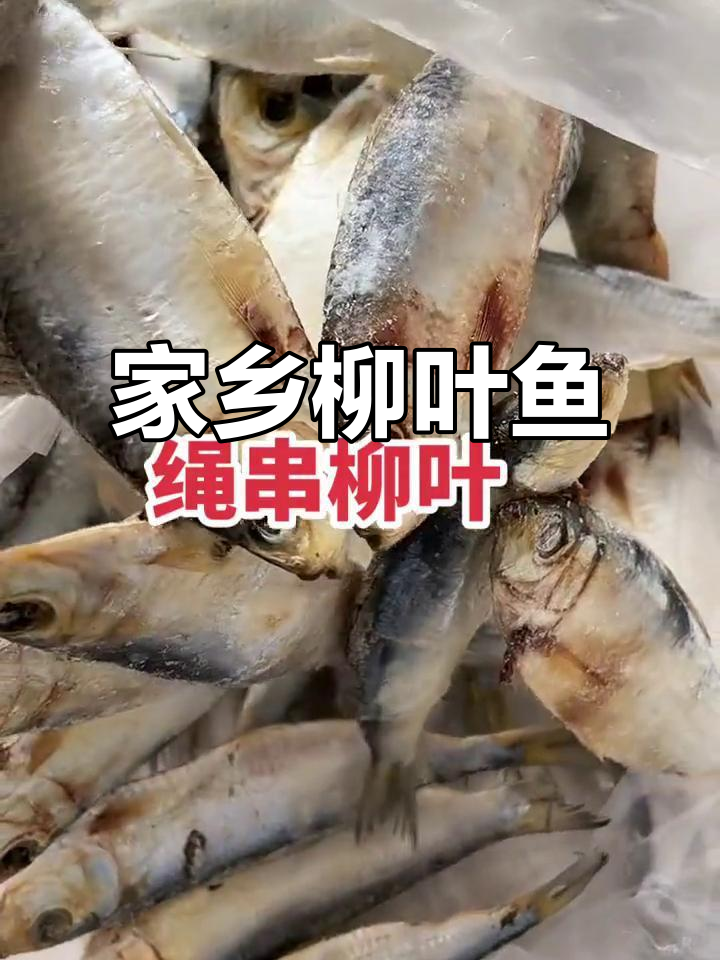 家乡特产柳叶鱼,煎蒸皆宜,美味十足