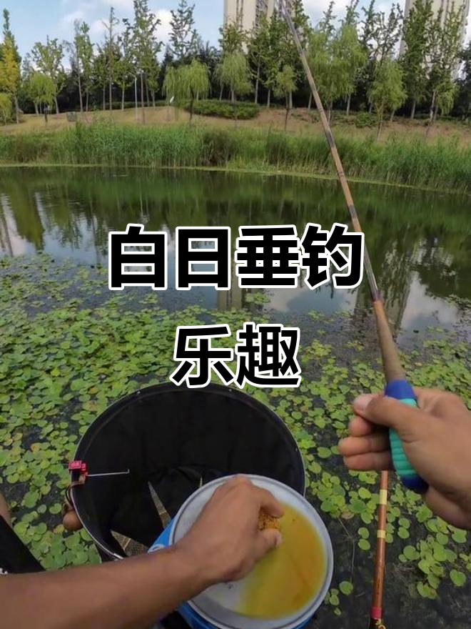 白天钓鱼真爽,2米水深轻松上钩,两小时超有趣!
