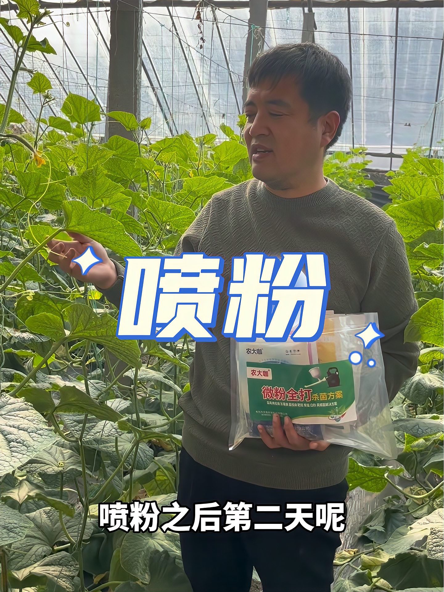 喷粉防病也挺好，今年的技术进步了，可以用了！蔬菜种植技术 病虫害防治 农业技术推广 寿光蔬