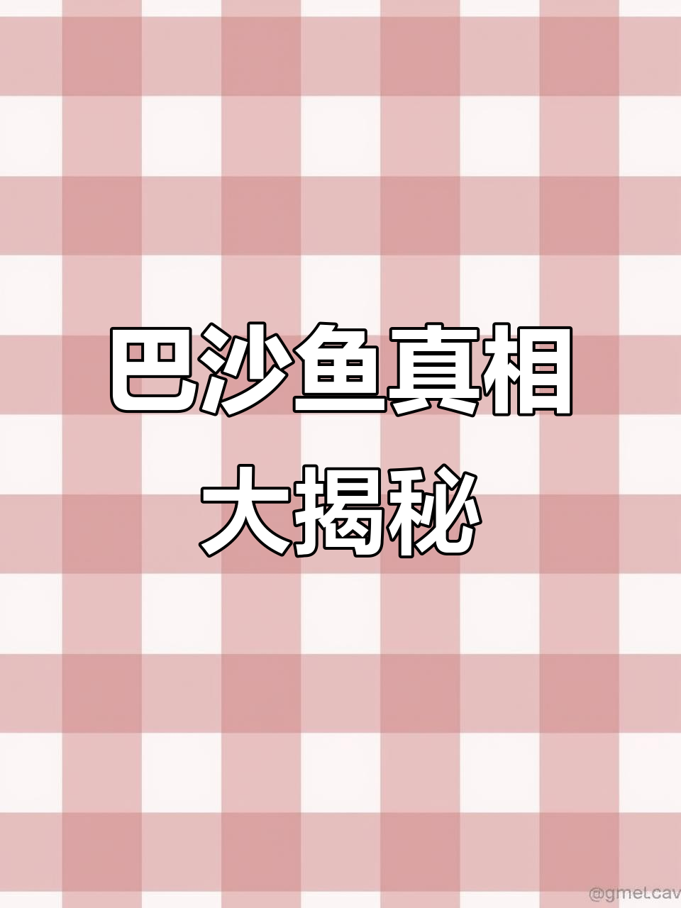 外面烤鱼大多都是巴沙鱼,真能吃吗?