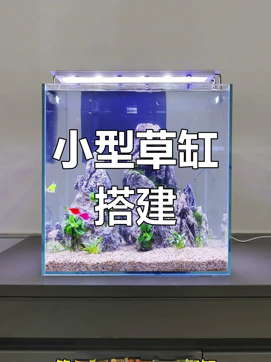 简单桌面鱼缸造景教程