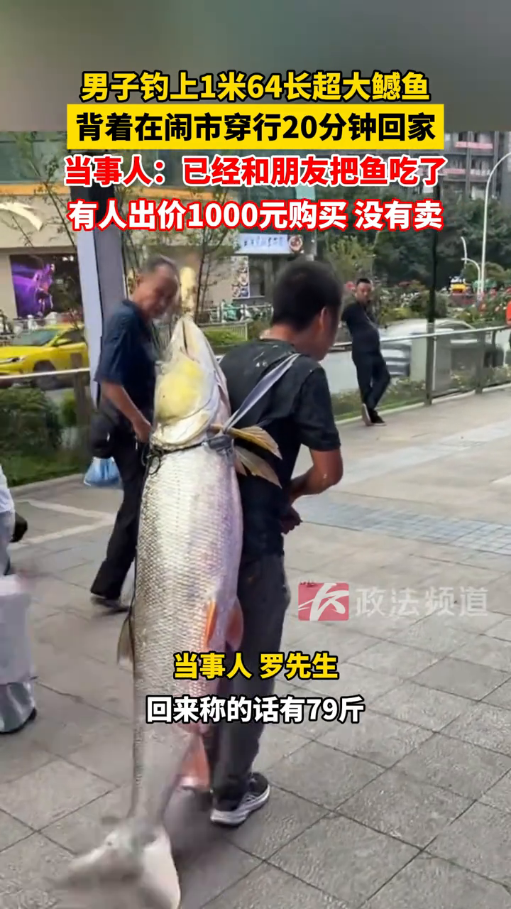 男子钓上1米64长超大鳡鱼,背着在闹市穿行20分钟回家