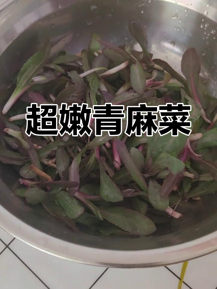 嫩滑青麻菜,搭配小酱最香