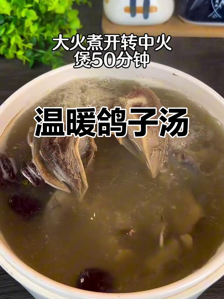 天气转凉，记得给自己炖一碗暖心的鸽子汤