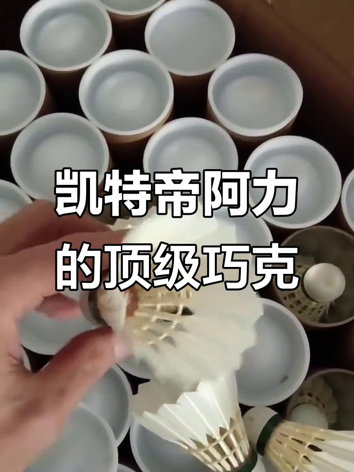 凯特帝阿力哥那的顶级好货,超乎想象的巧克力块头