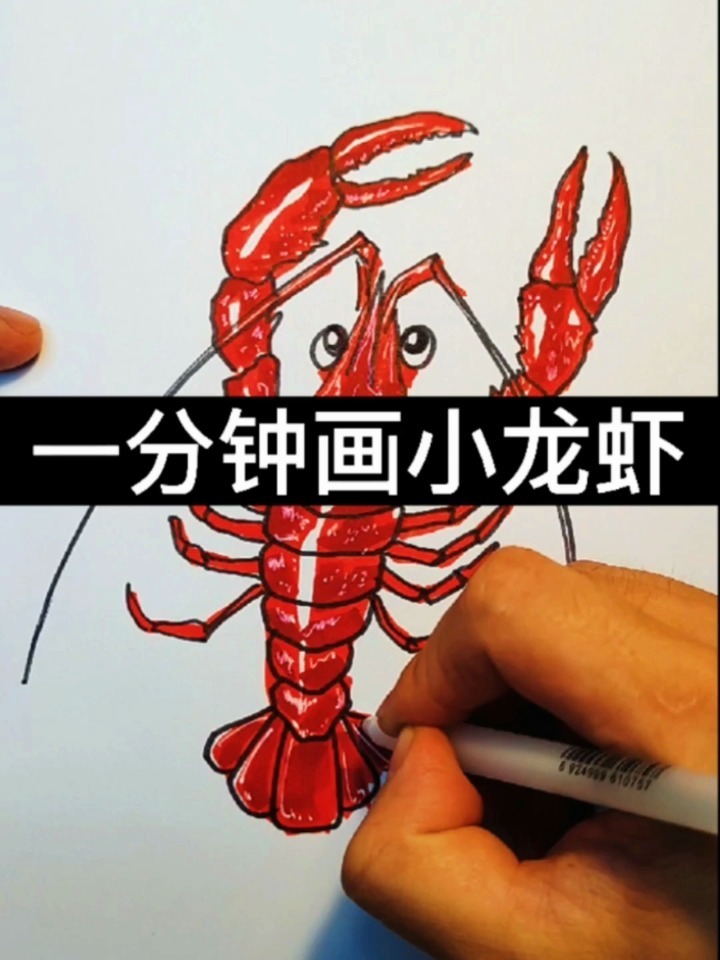 一分钟画小龙虾