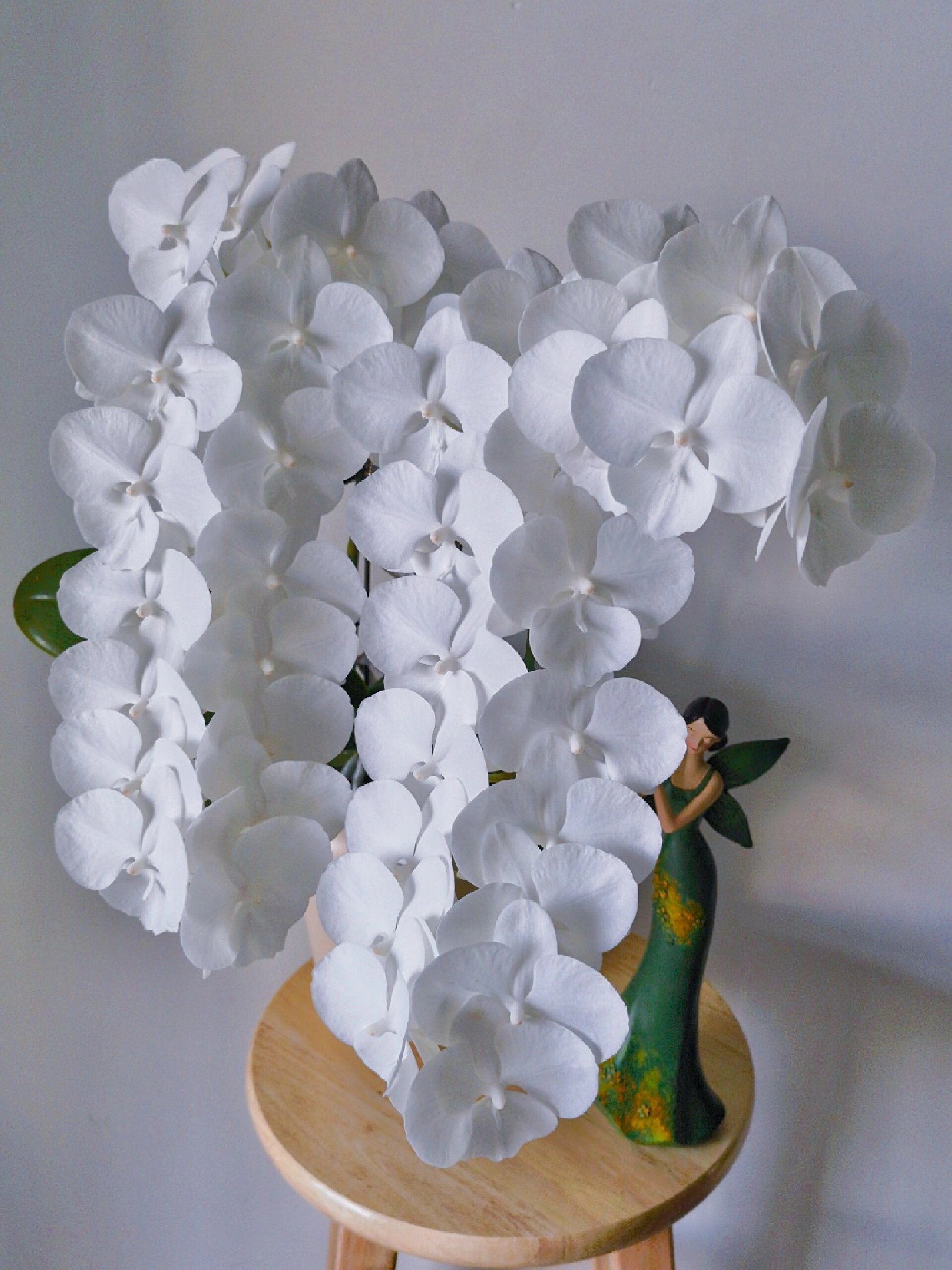 白天鹅太美了,忍不住想要再发下动态视频