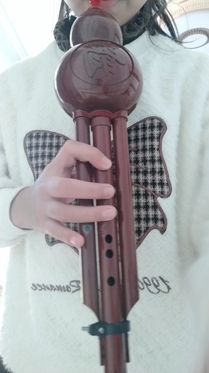 葫芦丝吹曲周深的《大鱼》