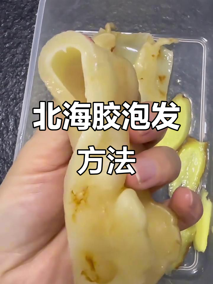北海胶泡发秘诀,轻松掌握厚肉弹牙技巧