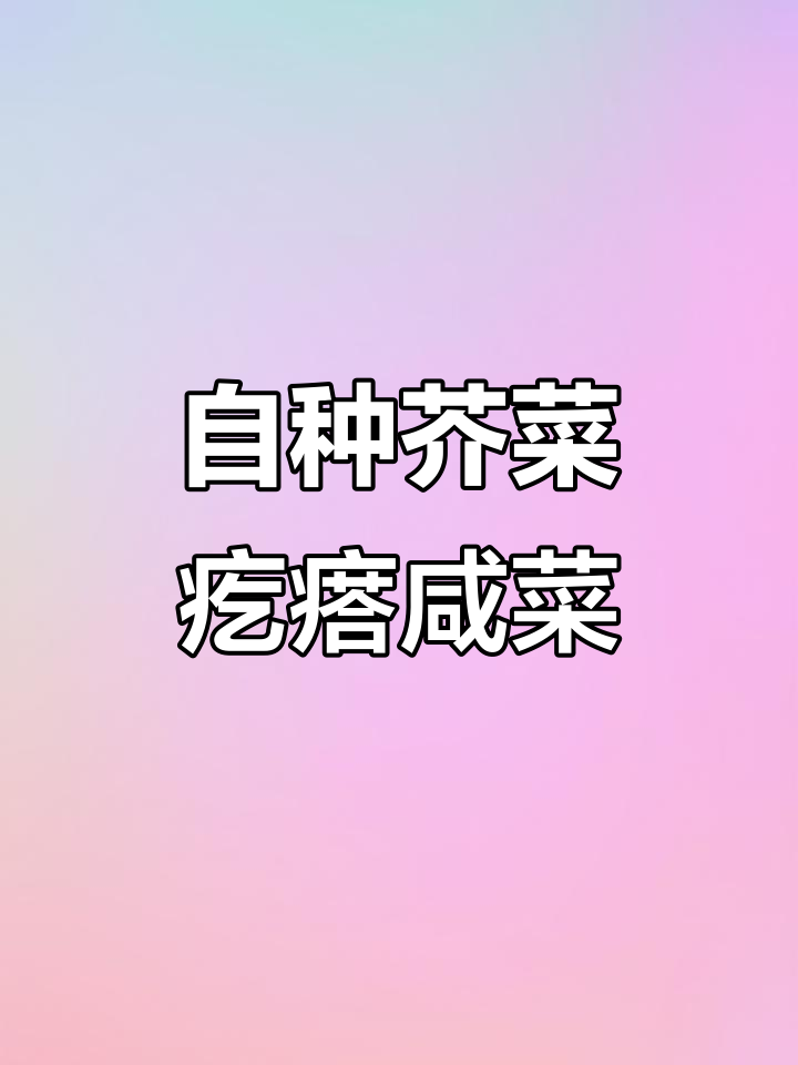 纯天然绿色蔬菜,芥菜疙瘩咸菜的独特风味