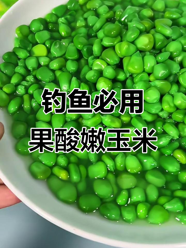 夏季钓大鱼必备!玉米挂钩技巧揭秘,草青鲤翘嘴一网打尽