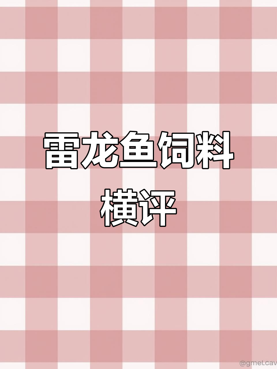 雷龙鱼饲料大评测,如何用最少的钱养好你的宝贝