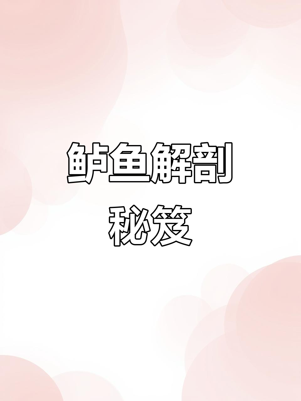 鲈鱼解剖全解析,水产从业者必看!