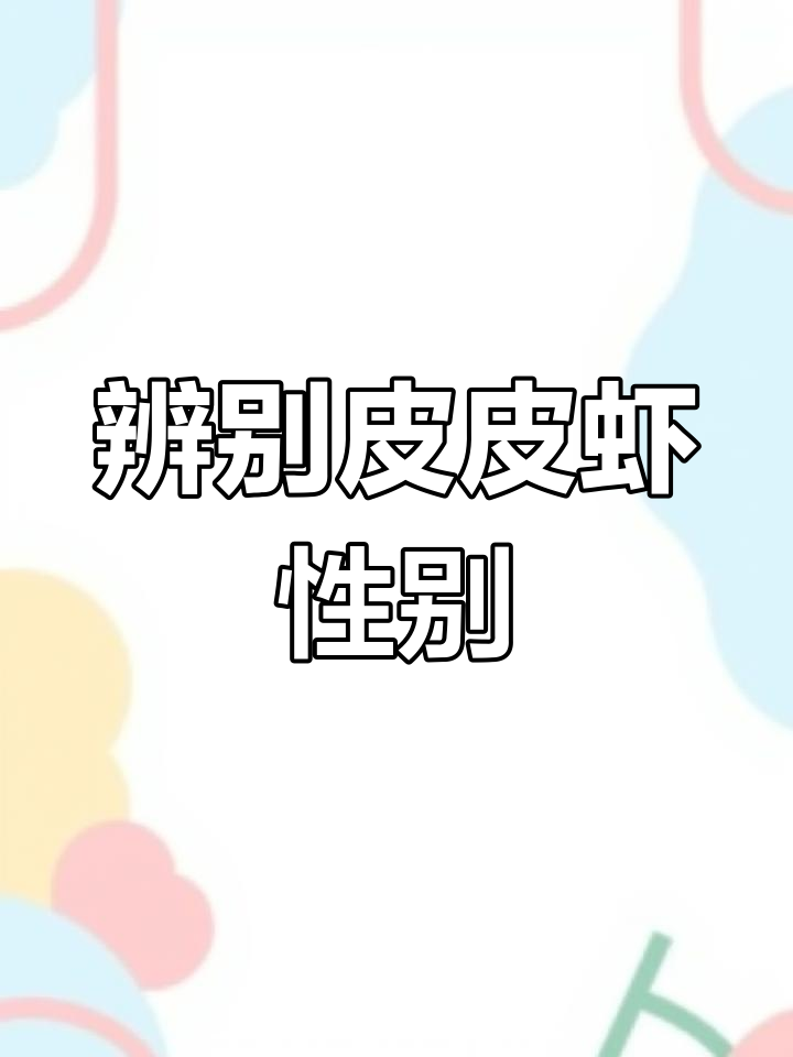 如何分辨皮皮虾公母?看这里!