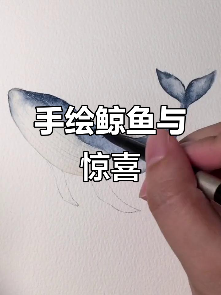 画鲸鱼背景音乐大揭秘,结尾有惊喜!