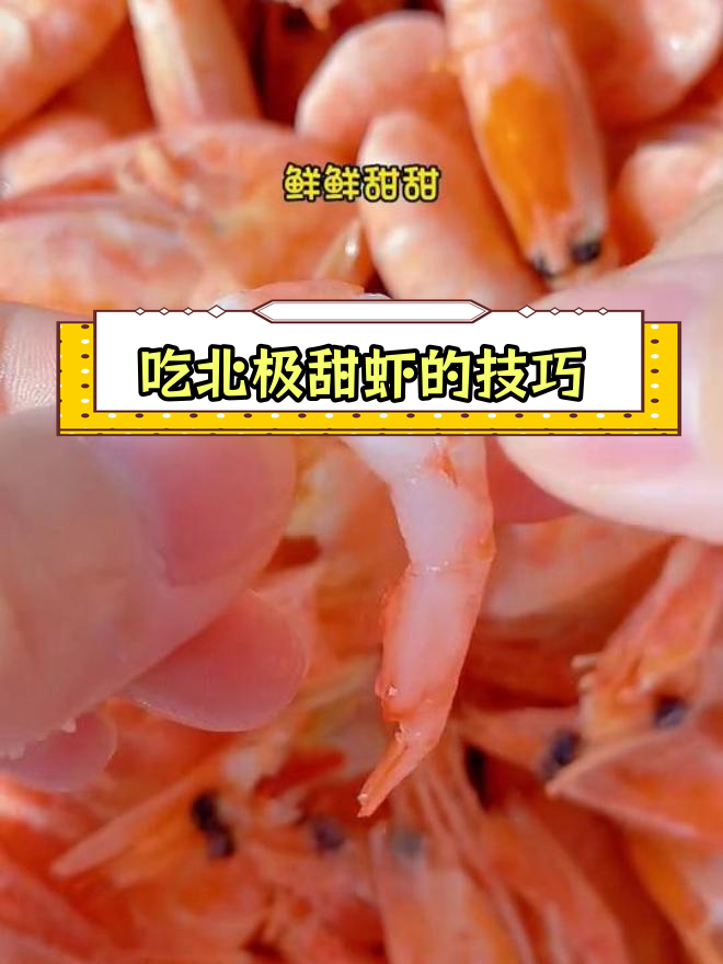 北极甜虾的正确吃法,头籽更美味