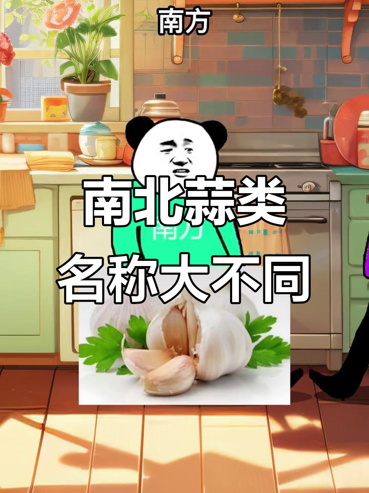 南方蒜苗北方蒜苔,差异到底在哪?