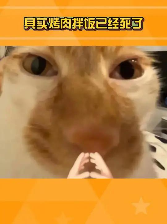 #其实烤肉拌饭已经死了 我悟了！其实很多美食都已经死过一回了！#抽象 #美食