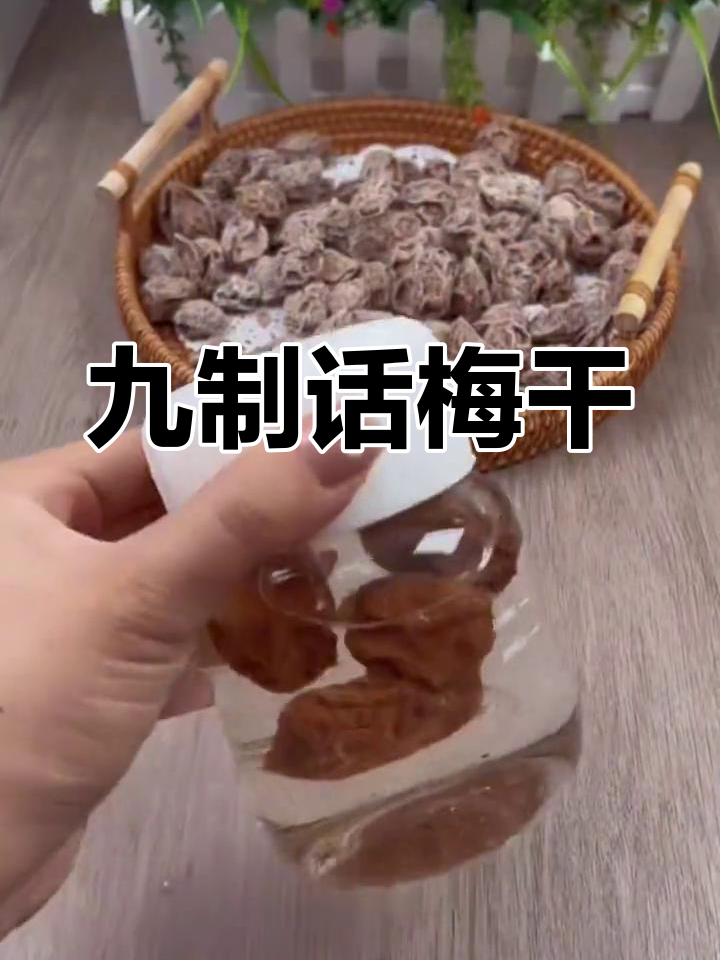 九制话梅干:酸甜咸果,泡水解馋又开胃