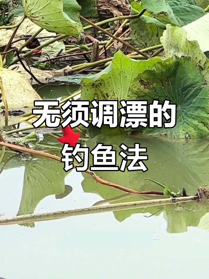 免调漂线组，轻松抛竿钓鲫鱼